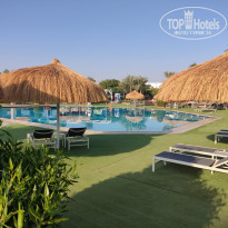 фото из отзыва ID 2741806