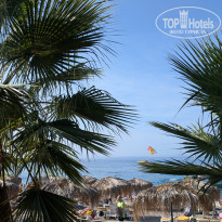 фото из отзыва ID 2741841