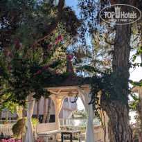 фото из отзыва ID 2741841