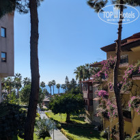 фото из отзыва ID 2741841