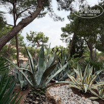 фото из отзыва ID 2741839