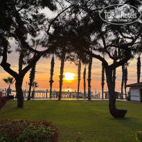 фото из отзыва ID 2741839