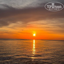 фото из отзыва ID 2741839