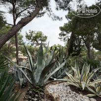 фото из отзыва ID 2741839