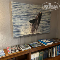 фото из отзыва ID 2741849