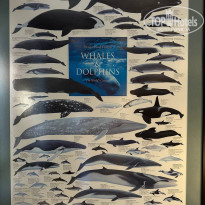 фото из отзыва ID 2741849