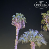 фото из отзыва ID 2741868