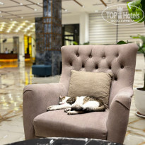 фото из отзыва ID 2741861