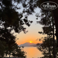 фото из отзыва ID 2741879