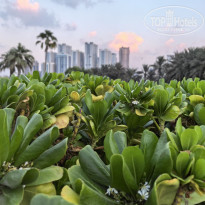 фото из отзыва ID 2741876