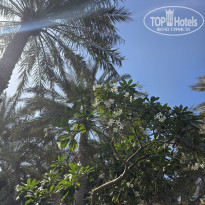 фото из отзыва ID 2741876