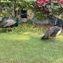 фото из отзыва ID 2741876