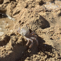 фото из отзыва ID 2741747