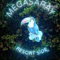 фото из отзыва ID 2741885