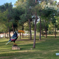 фото из отзыва ID 2741885