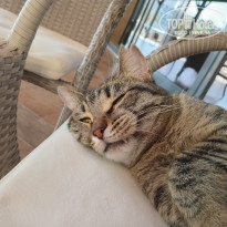 фото из отзыва ID 2741907