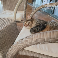 фото из отзыва ID 2741907