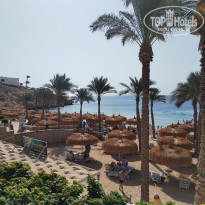 фото из отзыва ID 2741909