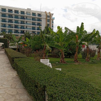 фото из отзыва ID 2741920