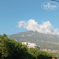 фото из отзыва ID 2741920