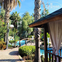 фото из отзыва ID 2741923