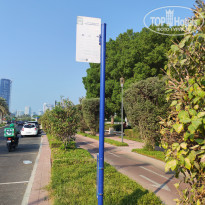 фото из отзыва ID 2741924