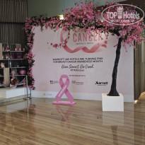 фото из отзыва ID 2741945