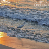 фото из отзыва ID 2741945