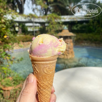 фото из отзыва ID 2741950