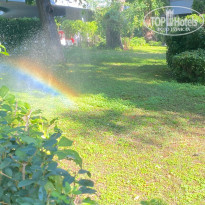 фото из отзыва ID 2741950