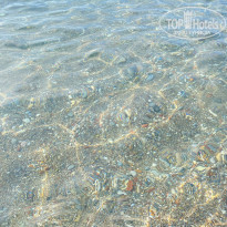 фото из отзыва ID 2741950