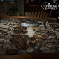 фото из отзыва ID 2741952