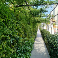 фото из отзыва ID 2741768