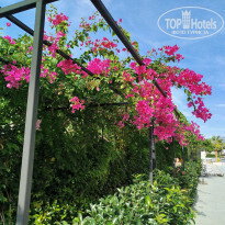 фото из отзыва ID 2741768