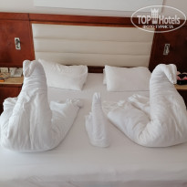 фото из отзыва ID 2741967