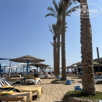 фото из отзыва ID 2741979