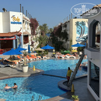 фото из отзыва ID 2741979