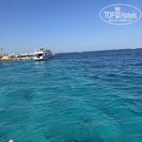 фото из отзыва ID 2741979