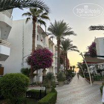 фото из отзыва ID 2741979