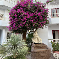 фото из отзыва ID 2741979