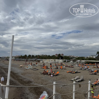 фото из отзыва ID 2741980