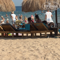 фото из отзыва ID 2741984