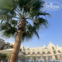 фото из отзыва ID 2742006