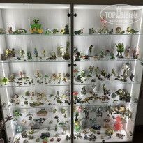 фото из отзыва ID 2742013