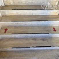 фото из отзыва ID 2742018