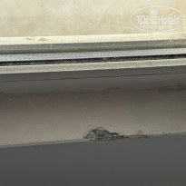 фото из отзыва ID 2742018