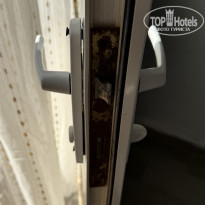 фото из отзыва ID 2742018