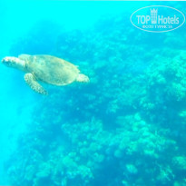 фото из отзыва ID 2741806