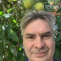 фото из отзыва ID 2742053