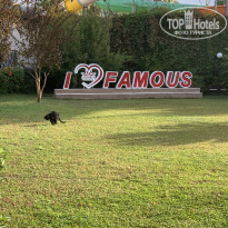 фото из отзыва ID 2742053